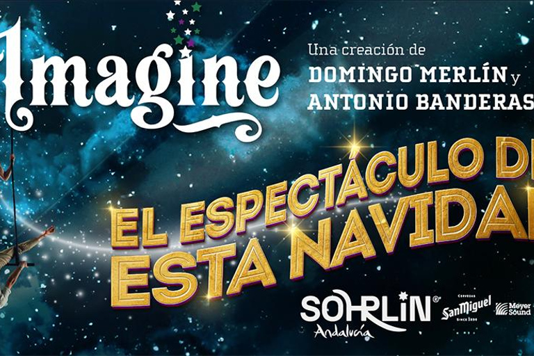 Málaga: Imagine Show Admission Ticket Zone 1