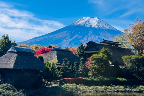 Tokyo: Private Daytrip to Mount Fuji - Fully Customizable Mt Fuji Private Luxury Van Tour (Customizable Experience)