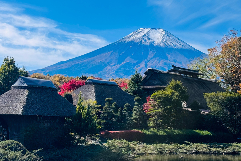 Tokyo: Private Daytrip to Mount Fuji - Fully Customizable Mt Fuji Private Luxury Van Tour (Customizable Experience)