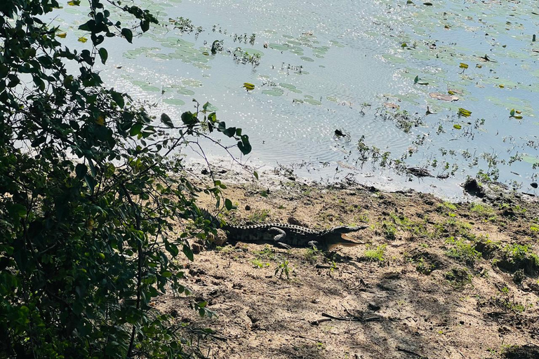 Desde Colombo: Excursión circular de 4 días por Sri Lanka con ...