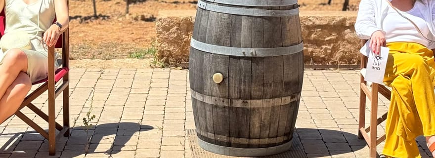 Petit groupe - Excursion exclusive à l'huile d'olive et au vin à Majorque