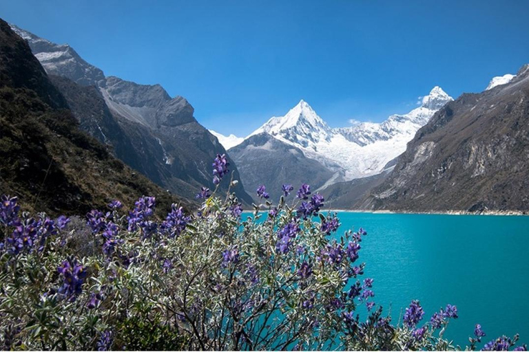 Ancash:Explore Huaraz-El Callejón de Huaylas-Laguna 69 4D-3N