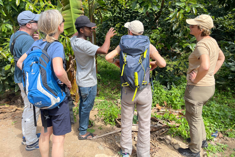 Arusha: Kaffeefarm-Tour mit Verkostung der lokalen Küche