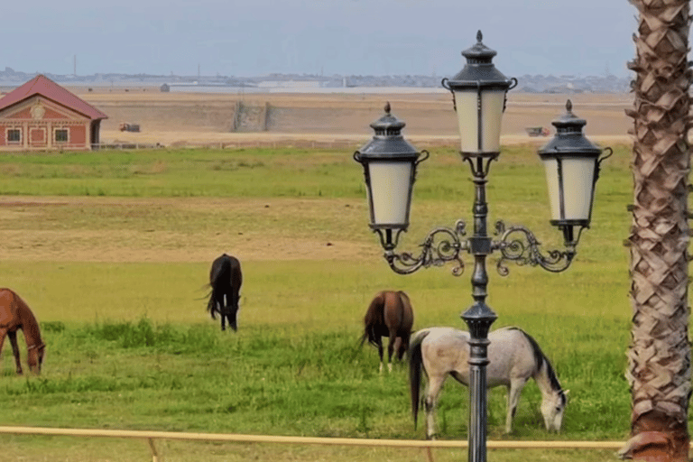 Baku: Horse Riding Club