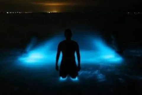 Huatulco: Tour de biologia e libertação