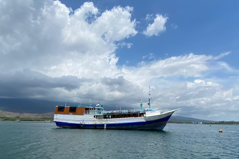 Lombok: Wyspa Komodo: 4-dniowa wycieczka łodzią z wyżywieniem