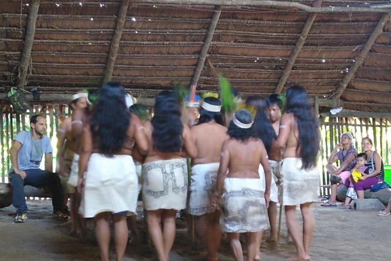 L&#039;Odyssée de l&#039;Amazonie : Explorez les merveilles de la forêt tropicale grâce à nos circuits !