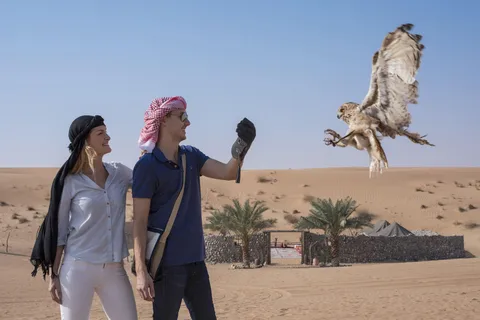 Dubai: morgendliche Falknerei & Safari im Vintage Land Rover