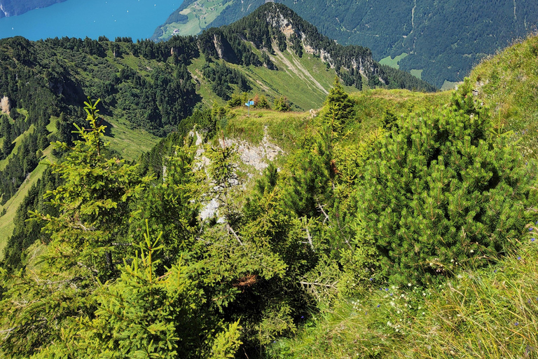 Tagestour ab Zürich: Bergwanderung auf den Rophaien mit ortskundigem GuideTagestour ab Zürich: Bergwanderung in Rophaien mit ortskundigem Guide