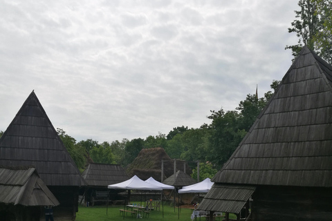 Tour panoramico di Bucarest con tre tappe e due visite.