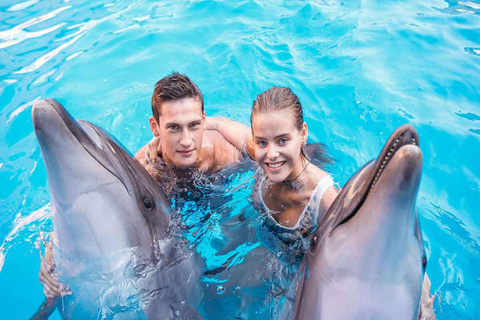 Side/Alanya: Swimming with Dolphins Side/Alanya: Swimming with Dolphins, Seals, and Sea Lions