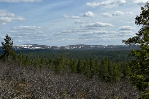 Saariselkä: Private National Park Walk with Cowboy Coffee
