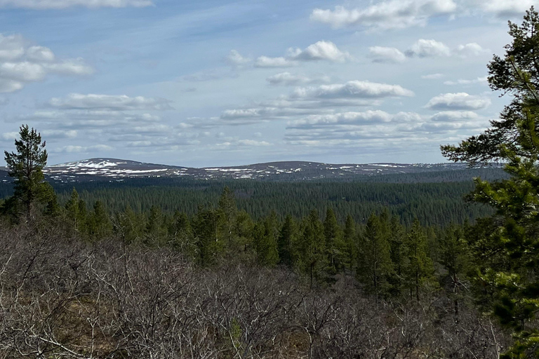 Saariselkä: Private National Park Walk with Cowboy Coffee