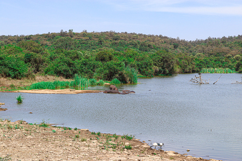 Privérondleiding door het Nairobi Nationaal Park