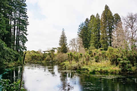 Rotorua: ecotour van een halve dag om de meren te verkennenRotorua: Halve dag Verken de Lakes Eco Tour