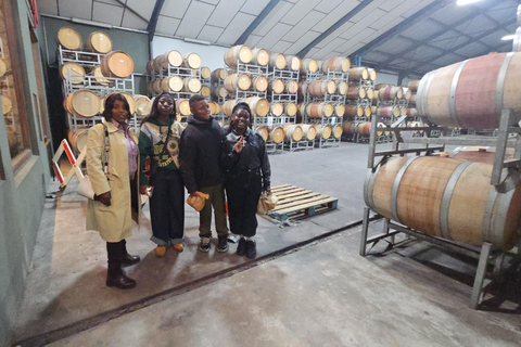 Cape Town: Cruise Passengers sunset Safari & Wine Tour