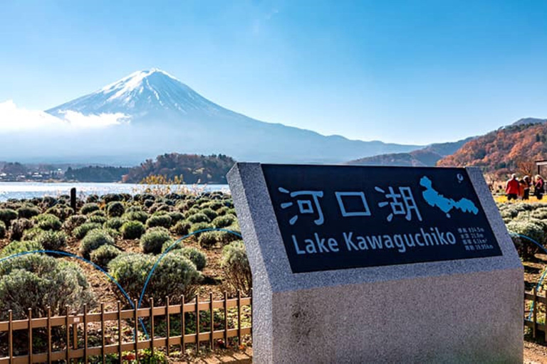 Tokyo ⇔ Lake Kawaguchi Bus Tickets (One-way/Round-trip) Oneway Tokyo→LakeKawaguchi sta