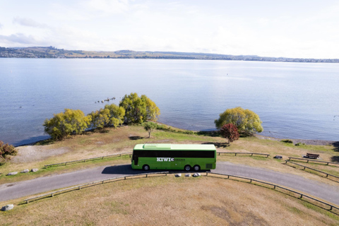 Nya Zeeland: National Hop-On Hop-Off PassBidrottning