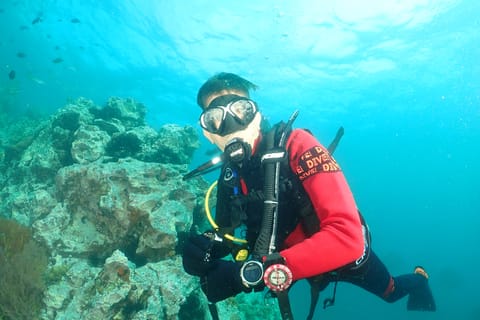 Phuket: 3 Dive Koh Phi Phi/Shark Point Scuba Diving Day Trip