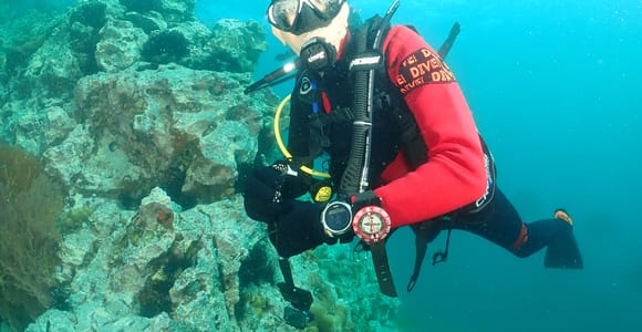 Phuket: 3 Dive Koh Phi Phi/Shark Point Scuba Diving Day Trip