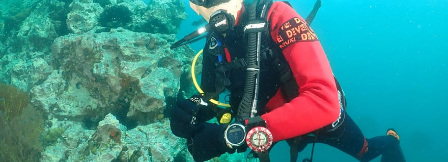 Phuket : Excursion d'une journée avec 3 plongées à Koh Phi Phi et à Shark Point
