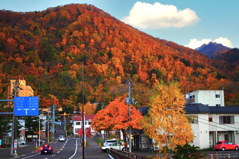 From Sapporo: Hoheikyo Dam, Jozankei & Lake Shikotsu Tour Shared Tour, Meet at Sapporo Station