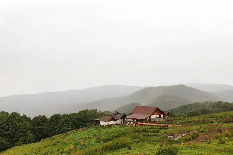 Sinaia: Guided ATV Adventure through Baiului Mountains