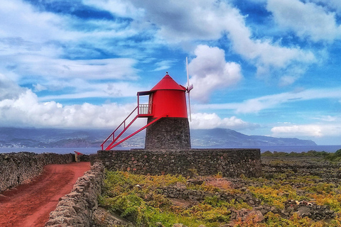 Excursión en jeep de 1 día por la isla de Pico - Azores.Excursión de 1 día en jeep por la isla de Pico - Azores