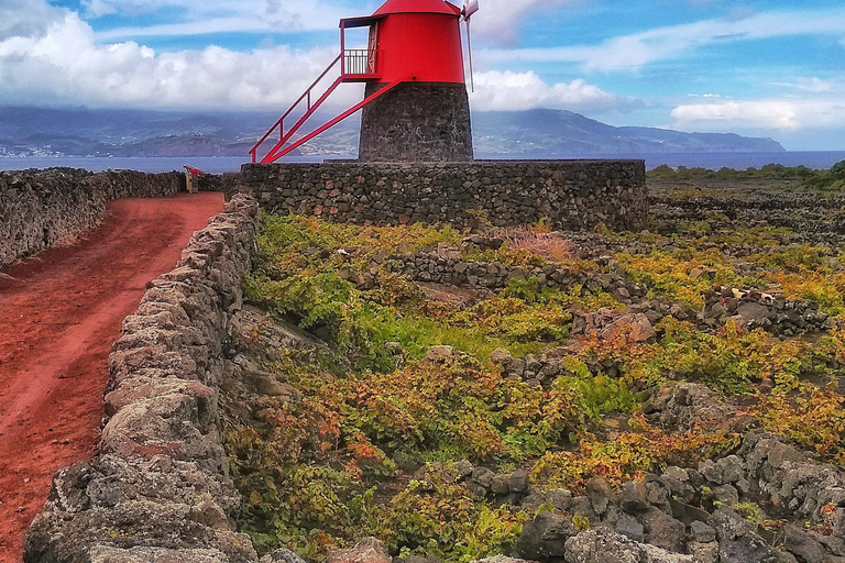 Excursión en jeep de 1 día por la isla de Pico - Azores.Excursión de 1 día en jeep por la isla de Pico - Azores
