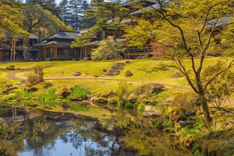 Von Tokio aus: Niko Ganztagestour private Tour mit englischem Chauffeur