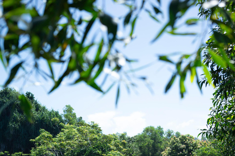 Bali: wizyta w centrum ochrony żółwi i wycieczka po wyspieBali: Turtle Conservation Visit &amp; Island Land Tour