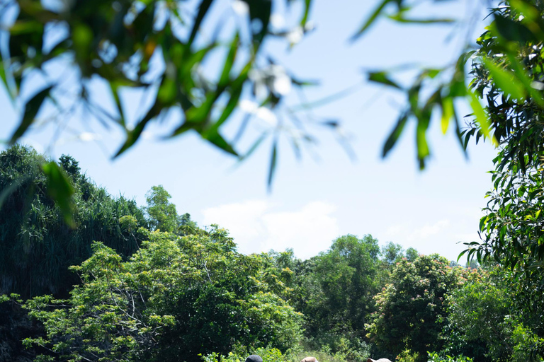 Bali: wizyta w centrum ochrony żółwi i wycieczka po wyspieBali: Turtle Conservation Visit &amp; Island Land Tour