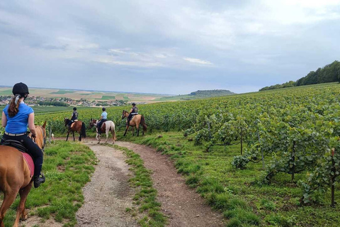 Reims: Horseback Riding Tour with Lunch