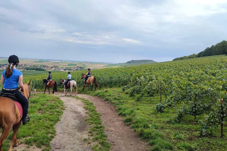 Reims: Horseback Riding Tour with Lunch