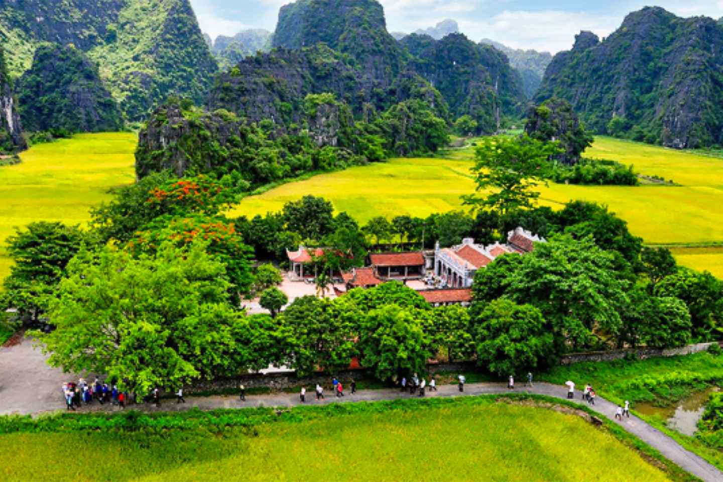 Hanoi/Ninh Binh: 1-Day Tam Coc/Trang An, Hoa Lu & Mua Caves