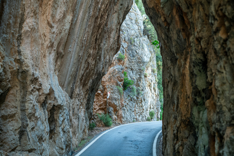 Mallorca: Örundtur med båt, spårvagn och tåg från söder