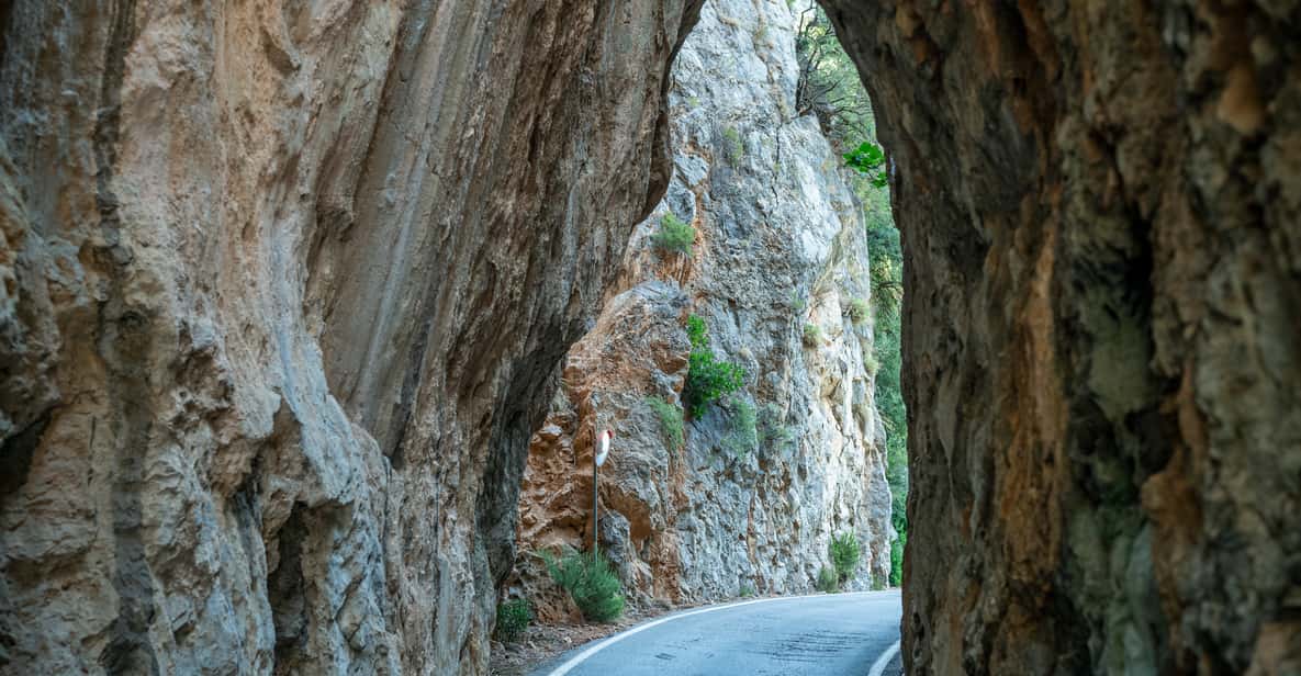 Afbeelding 6 van Mallorca: Eilandtour met boot, tram en trein vanuit het zuiden