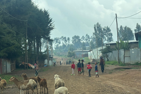 From Addis: Blue Nile Gorge, Baboons & Waterfalls