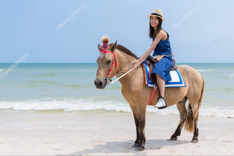 Punta Cana: Private Buggy, Horseback, Zipline & Catamaran