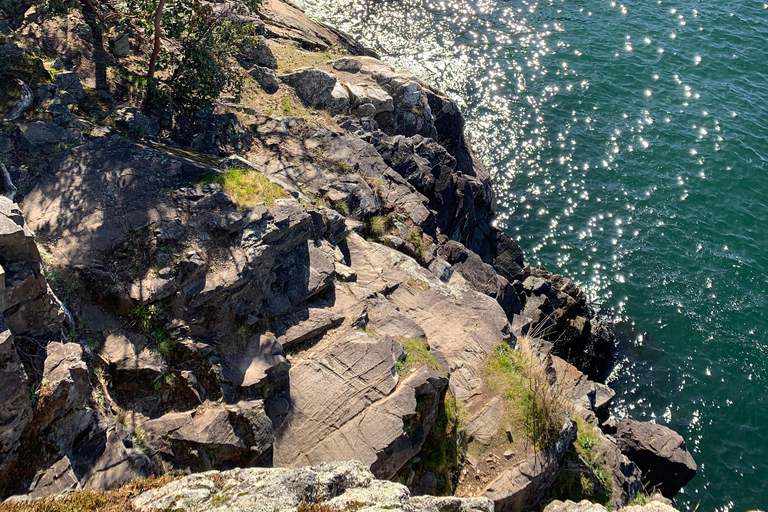 Vancouver: Lighthouse Park HikeLighthouse Park Hike