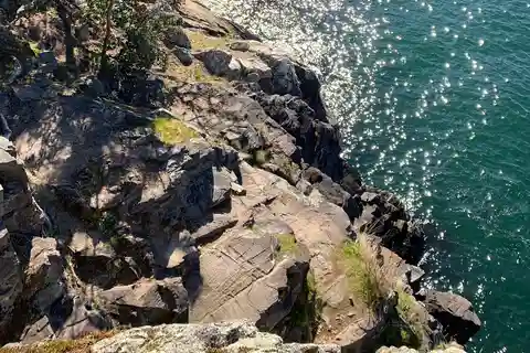 Vancouver: Lighthouse Park Hike