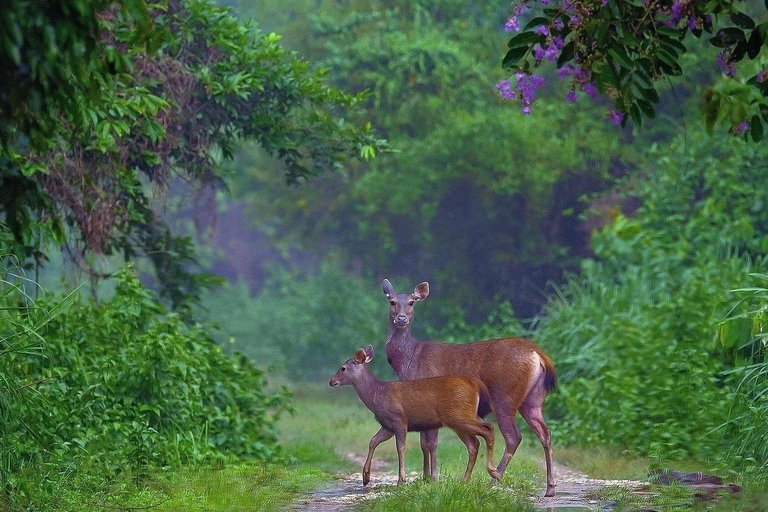 From Ho Chi Minh City: 2-Day Cat Tien National Park Tour