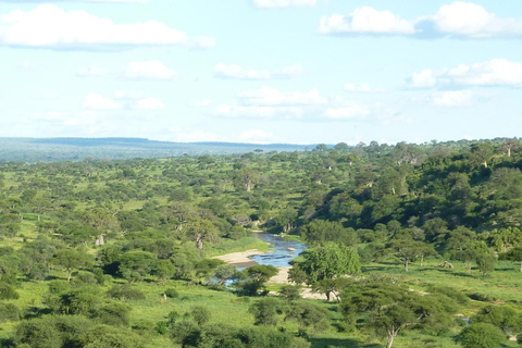 Arusha: escursione di un giorno al Parco Nazionale Tarangire