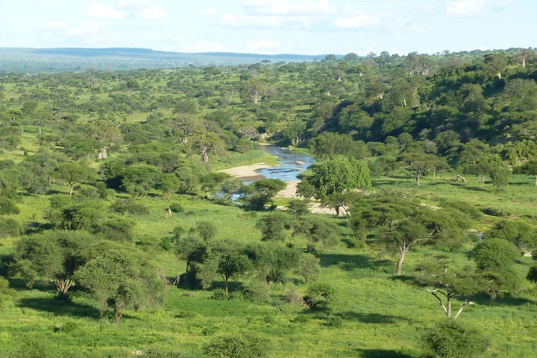 Arusha: escursione di un giorno al Parco Nazionale Tarangire