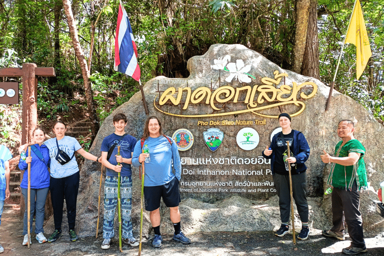 Chiang Mai: Santuario etico degli elefanti e escursione a Doi InthanonChiang Mai: Santuario etico degli elefanti e escursioni a Doi Inthanon