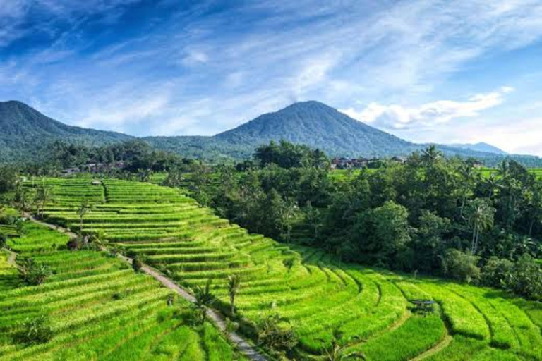 Bali : Jatiluwih, Bratan, porte iconique, visite du temple de Tanah LotVisite sans frais d&#039;entrée