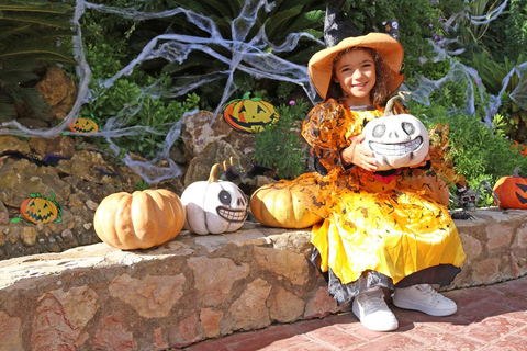 Algarve: Zoomarine Amusement Park Entry Ticket 1 Day Algarve Zoomarine Amusement Park Entry Ticket