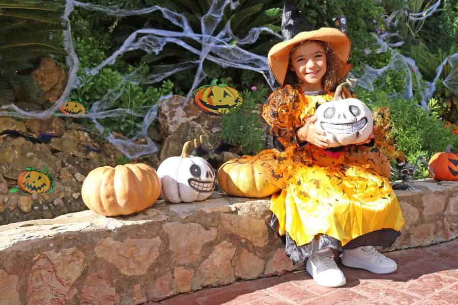 Algarve: Ticket für den Zoomarine-Vergnügungspark. Foto: GetYourGuide Algarve: Ticket für den Zoomarine-Vergnügungspark. Foto: GetYourGuide