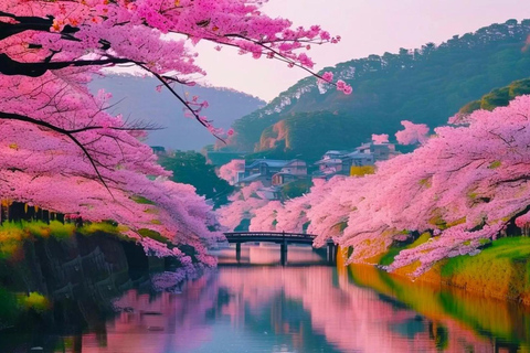 A Thousand Years in One Day: Kyoto & Nara Panoramic Tour Depart from Kyoto