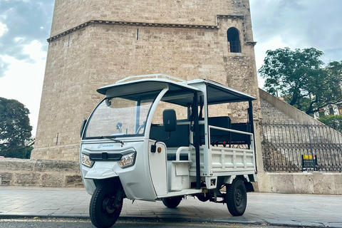 Valence - Tour complet en TukTuk 2H